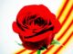 Los orígenes de la fiesta de Sant Jordi