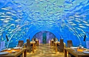8 lugares que deberías visitar al menos una vez en la vida