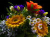 Cómo elegir el ramo de flores más adecuado para cada ocasión