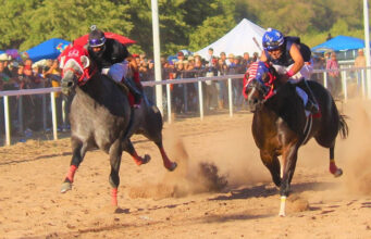 Al ritmo de los cascos: La elegancia de las carreras de caballos