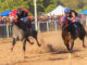 Al ritmo de los cascos: La elegancia de las carreras de caballos