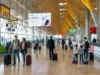 Cómo reclamar una compensación a Volotea sin estrés: la guía que los viajeros desearían conocer