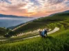 Mayorista de productos orgánicos: tu fuente europea de alimentos naturales