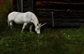 Se confirma que los unicornios han existido